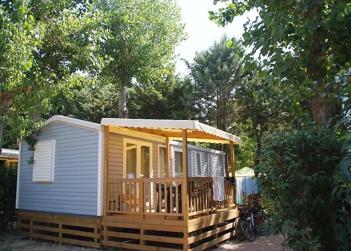 Campsite Camping La Barque 3*